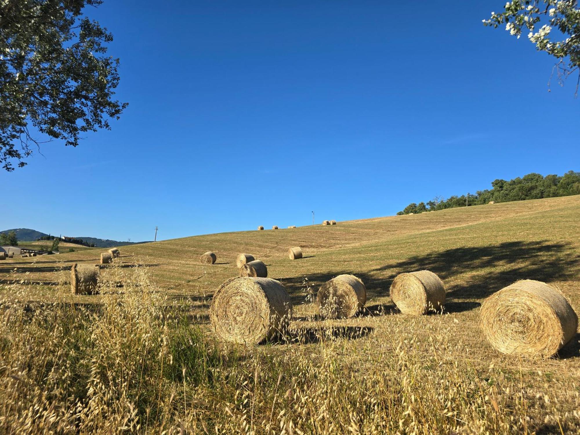 Finestra Della Val D'Orcia Contignano Exterior foto